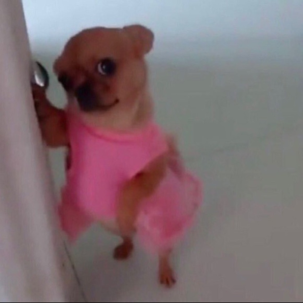 Meet your Posher, Julia